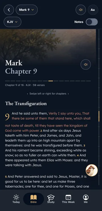 Sermon Sidekick reading Mark chapter 9 in the King James Version